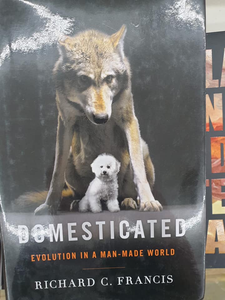 MYSTERY BOX OF 10|20 BOOKS FOR THE EDUCATED MIND