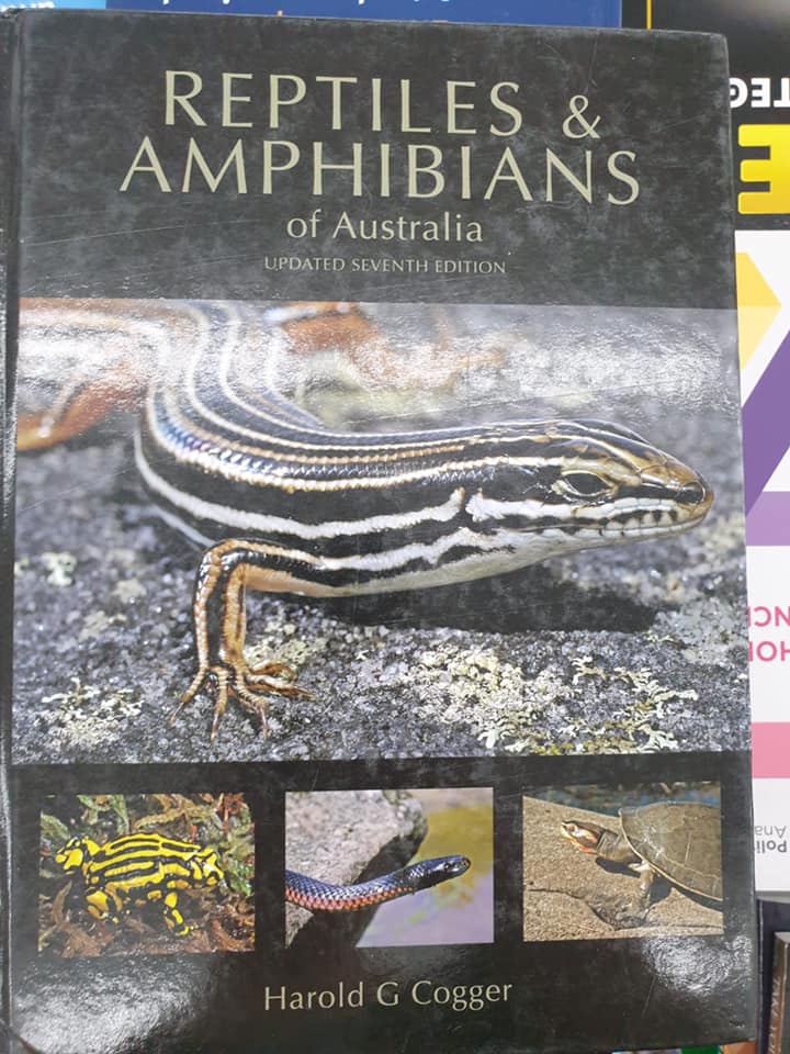 MYSTERY BOX OF 10|20 BOOKS FOR THE EDUCATED MIND