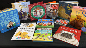 BOOKASOURUS PREMIUM BOX OF 25 KIDS BOOKS