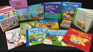 BOOKASOURUS PREMIUM BOX OF 25 KIDS BOOKS