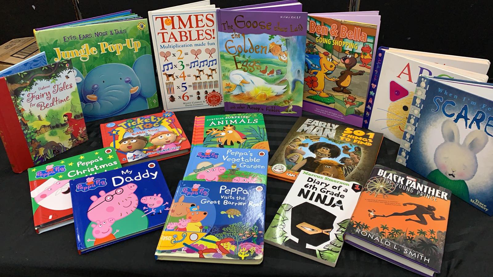 BOOKASOURUS PREMIUM BOX OF 25 KIDS BOOKS