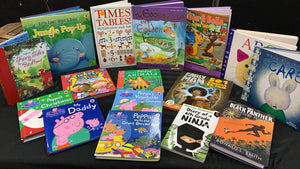 BOOKASOURUS PREMIUM BOX OF 25 KIDS BOOKS