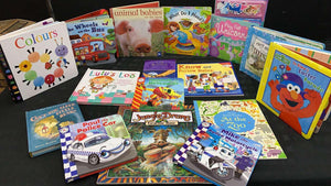 BOOKASOURUS PREMIUM BOX OF 25 KIDS BOOKS